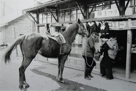 東北馬家|馬と人 » 岩手県立博物館 岩手の馬の文化民俗・歴史を体感